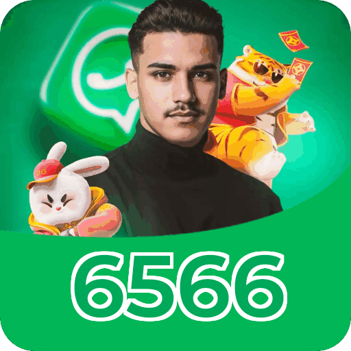 6566