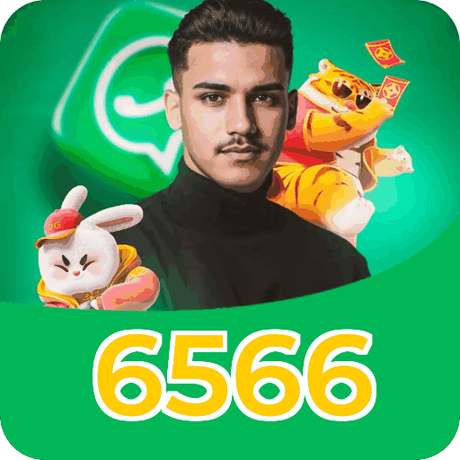 6566